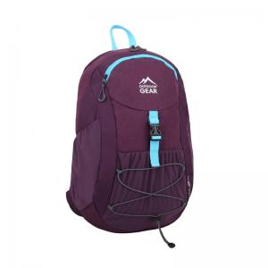 2411 Hiking Bag